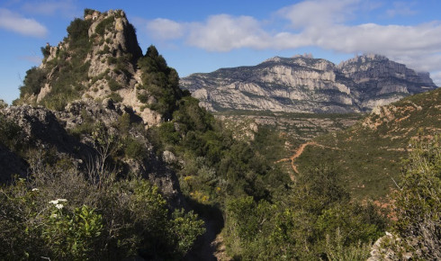 Chemin vers Sant Salvador. Photo : Pere Grimau